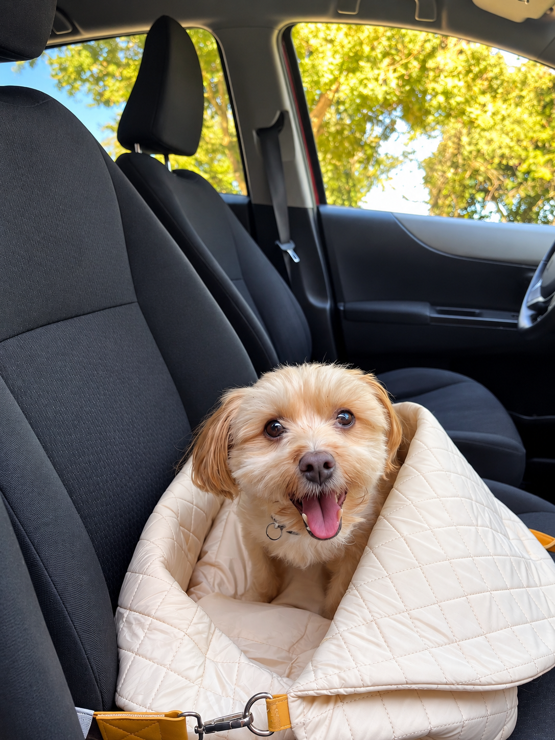 Chien assis dans le sac DeixGo ouvert sur un siège de voiture