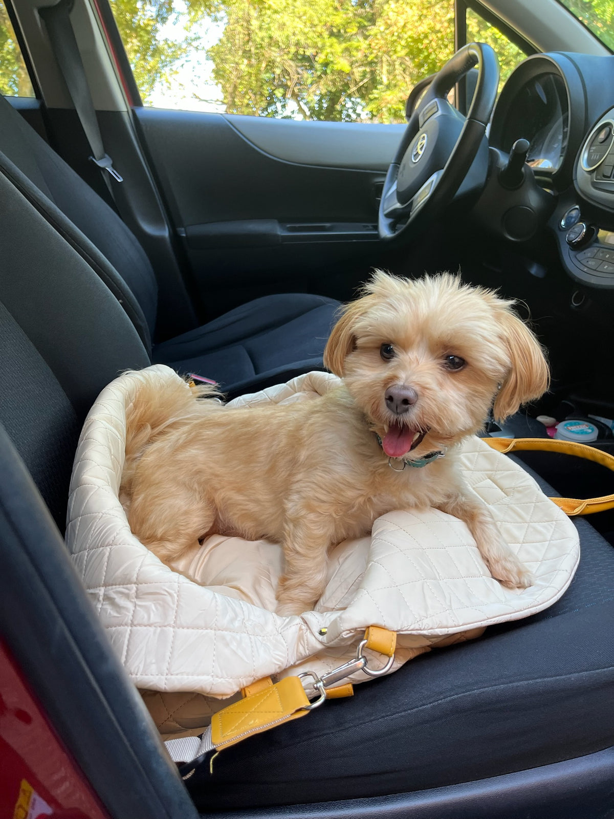 Chien allongé dans le sac DeixGo sur un siège de voiture