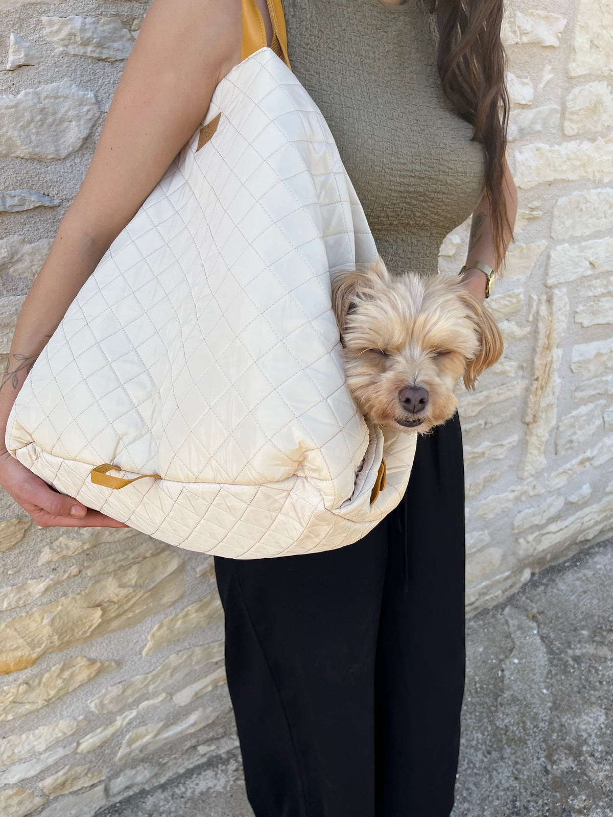 Sac DeixGo porté à l’épaule avec un chien à l’intérieur